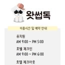 왓썹독 네이버블로그