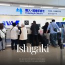 ibk기업은행 앞 교통섬 | 일본 오키나와 이시가키섬 가는 방법 국내선 환승 위치(나하공항 기념품샵 ana 체크인)