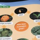 Joyful English 이미지