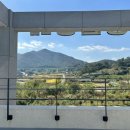 전남반려동물장례식장푸른솔 이미지