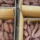 감자와고구마민박 이미지