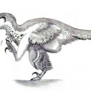 데이노니쿠스 이미지