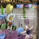 매듭의 조형 | 압구정 하우스도산 전시 후기 │꽃 오브제로 채운 젠틀몬스터 부케(Bouquet) 컬렉션 팝업