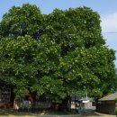 생장경로당 이미지