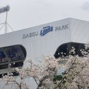 라이온즈파크 직관 후기 삼성vs한화 25.04.05