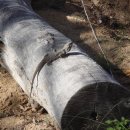 창곤농장 이미지