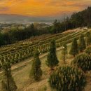 산수목장 이미지