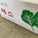두메산골 농장 | 두메산골농장 유기농꽃상추 당일수확 산지직송이라 더 신선했던 상추 후기