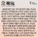 콩깍지 이미지