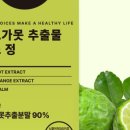 영양사언니 이미지