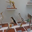 덕소자연사박물관 이미지