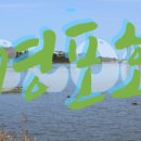 경포빅토리아파크 네이버블로그