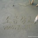 소금창고 티스토리