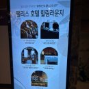 정선PC | 강원도 정선 하이원 팰리스호텔 스탠다드 트윈 숙박 후기, 셔틀버스, 운탄고도 케이블카 후기