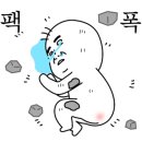 초록꽃집 - 춘천시 영서로 2352-21 | 초록꽃집