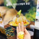 제주오가닉스 | 제주 2024 푸파페 다녀온 후기 _제주컨벤션센터 (매일 선착순200명 선물은?)