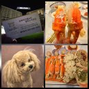 승화네 크랩보트 델피노점 | 고성 대게 맛집 반려동물 동반 가능한 승화네크랩보트 델피노점