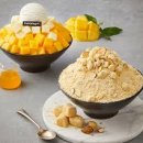 설빙 티스토리