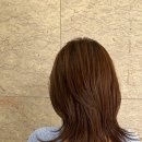 포레포레헤어 고속터미널점 이미지
