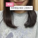 영's헤어 - 군포시 군포로 533 | 유명한 올리브영 헤어픽서♥ - 달리프 헤어픽서 후기