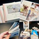 강아지PC | 강아지 포토북 내돈내산 제작 후기(퍼블로그 레이플랫 하드커버)