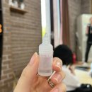 [제주허브동산🌿] 제주 표선 가볼만한 곳/ 제주 애견동반 관광지/제주 밤에 가볼만한 곳