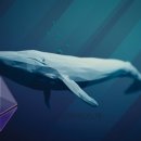 머지고래 이미지