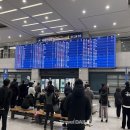 (주)제주케이여행사 트레벌데일리