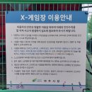 여주게임장 이미지