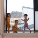 두부맨션 이미지