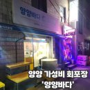 양양 | 양양 맛집 양양읍내 싱싱한 회포장 전문 '양양바다' 후기