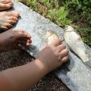 서울세명초등학교 이미지