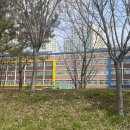 선운지구 네이버블로그