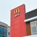 맥도날드 진주 고추 크림치즈 버거 진주인이 먹어 본 후기 (+영동 샤인머스캣 맥피즈)