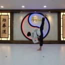 강철 태권도 이미지