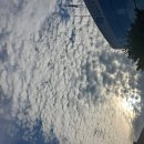 신촌블루스는 옛부터 홍콩판 르느아르가 결말..문간방 머슴의식을 버리지 못하면 그 삶이 구차해 질 터.... 이미지