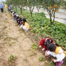 청통농장 이미지