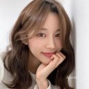 아눔헤어 이미지