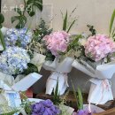 수피오레 이미지