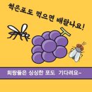 모코이엔티