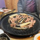 보라빛낭만펜션&캠핑장 이미지