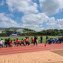 홍농서초등학교 이미지