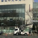 가로수