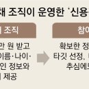 비사채