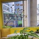 나만의세상 테라리움 만들기 이미지