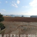 신안아파트 앞 상가 이미지