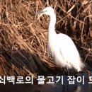 요즈음 이미지