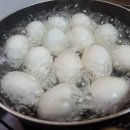 오늘은오리다