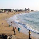 공지쉼터 이미지