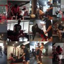 고포잇짐 이미지